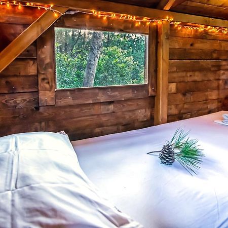 Drolma Ling Nature Cabins Theológos Esterno foto