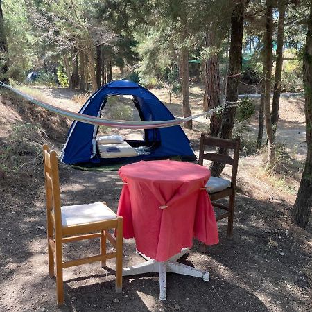 Drolma Ling Nature Cabins Theológos Esterno foto