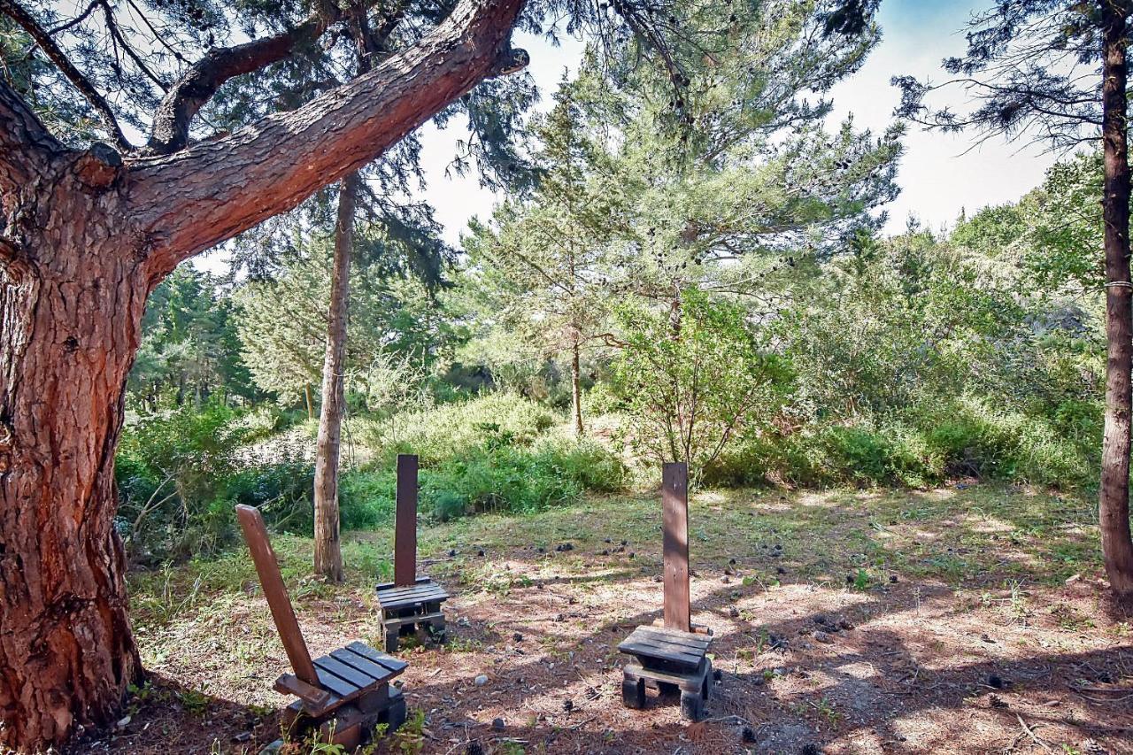 Drolma Ling Nature Cabins Theológos Esterno foto