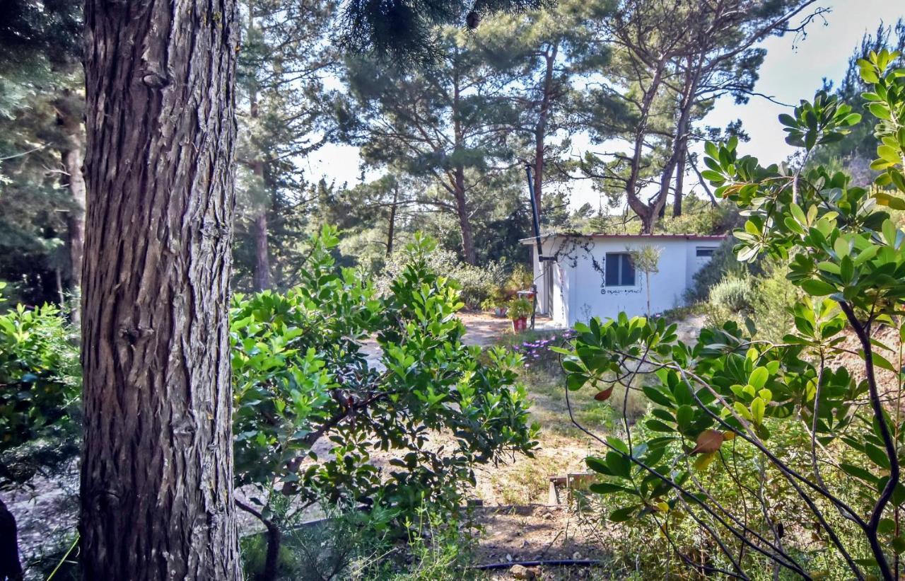 Drolma Ling Nature Cabins Theológos Esterno foto