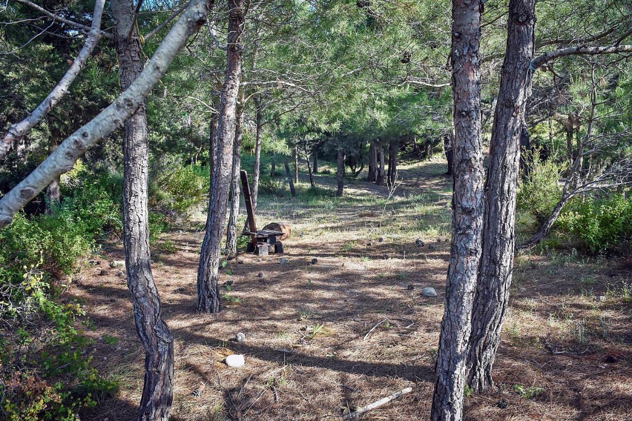Drolma Ling Nature Cabins Theológos Esterno foto