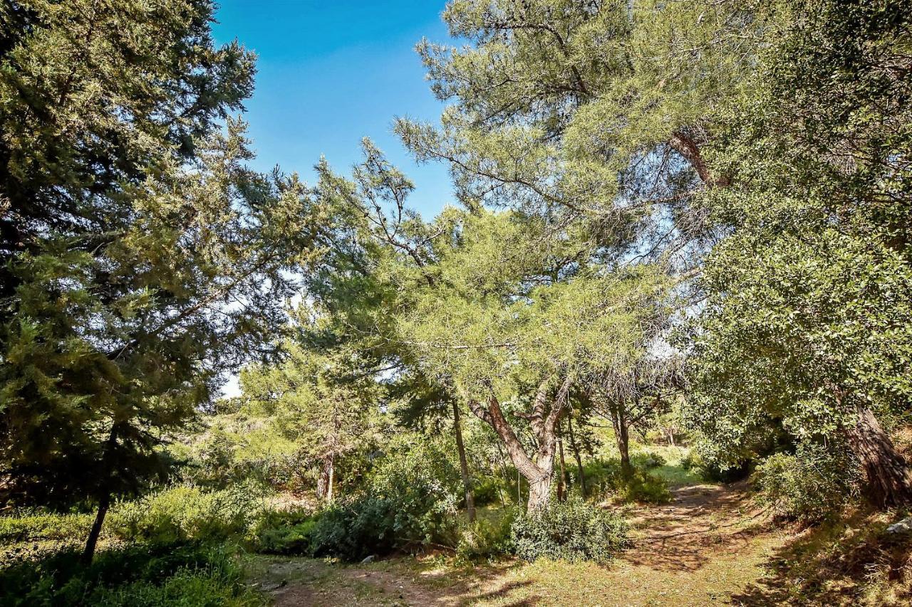 Drolma Ling Nature Cabins Theológos Esterno foto
