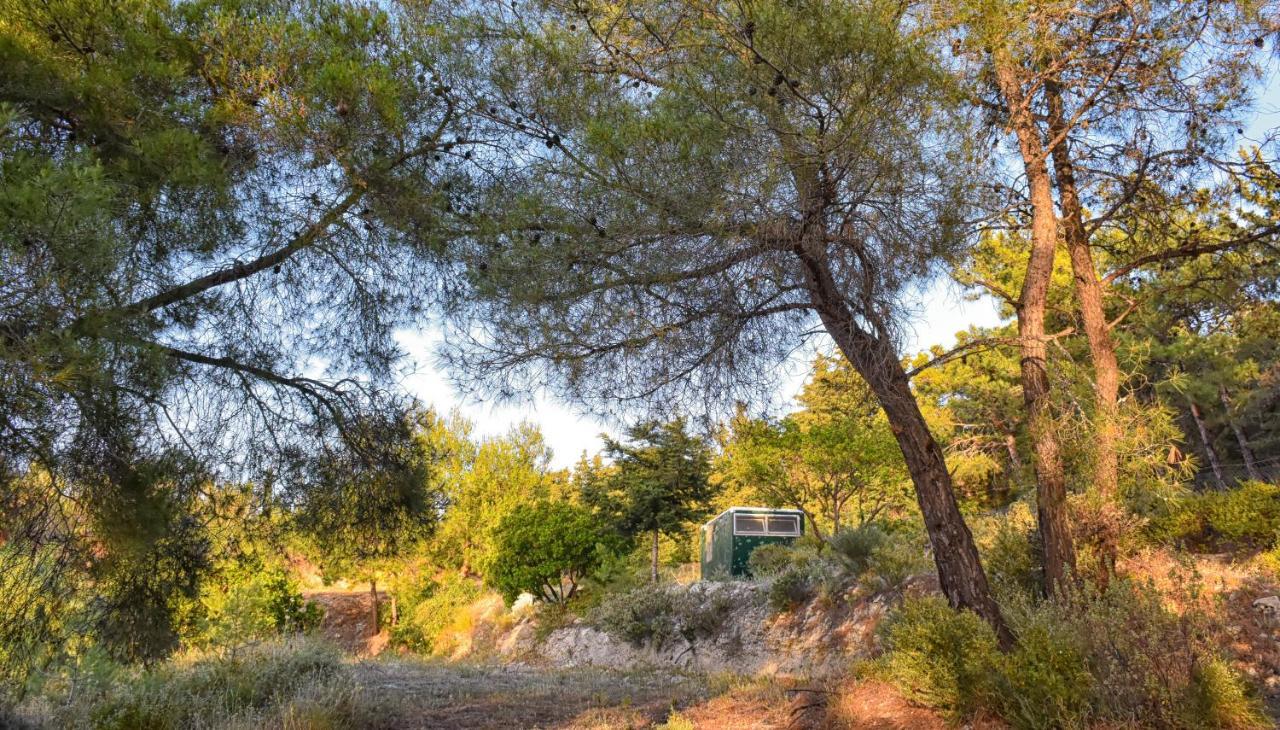 Drolma Ling Nature Cabins Theológos Esterno foto