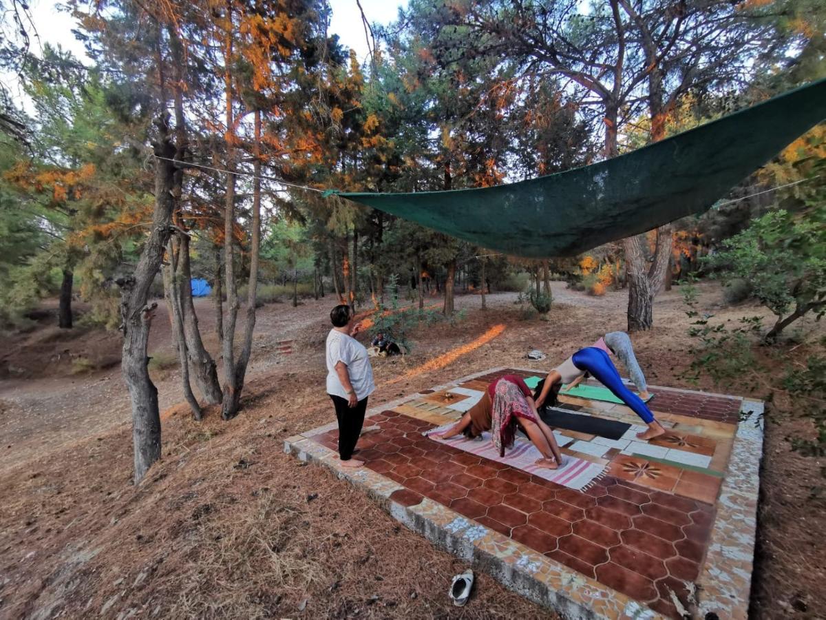 Drolma Ling Nature Cabins Theológos Esterno foto
