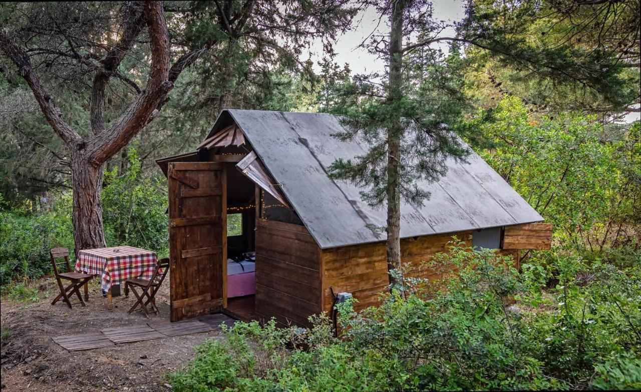 Drolma Ling Nature Cabins Theológos Esterno foto