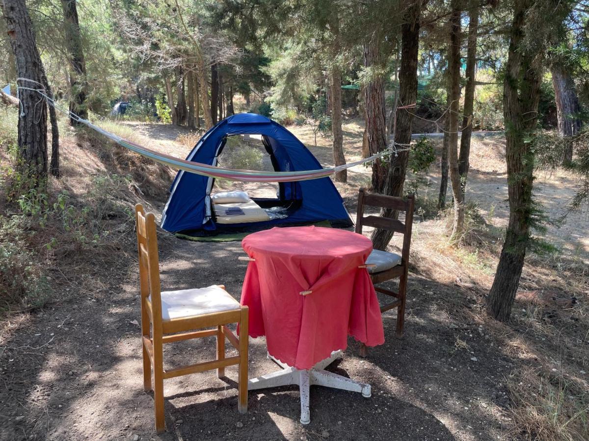 Drolma Ling Nature Cabins Theológos Esterno foto