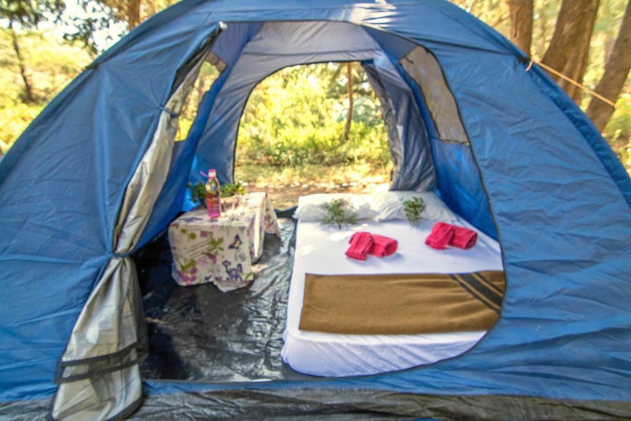 Drolma Ling Nature Cabins Theológos Esterno foto