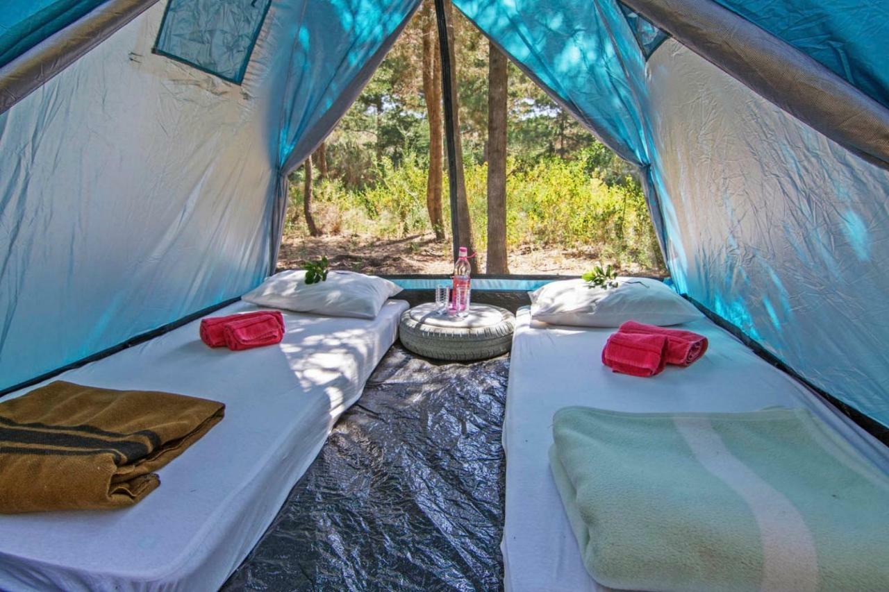 Drolma Ling Nature Cabins Theológos Esterno foto