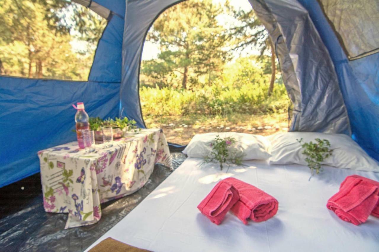 Drolma Ling Nature Cabins Theológos Esterno foto