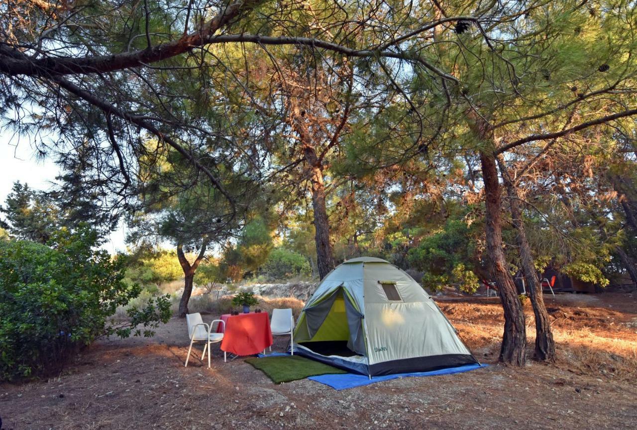 Drolma Ling Nature Cabins Theológos Esterno foto